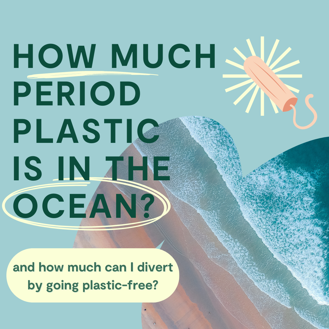 Plastic Pollution and Disposable Period Products: Where Does Period Waste Go?