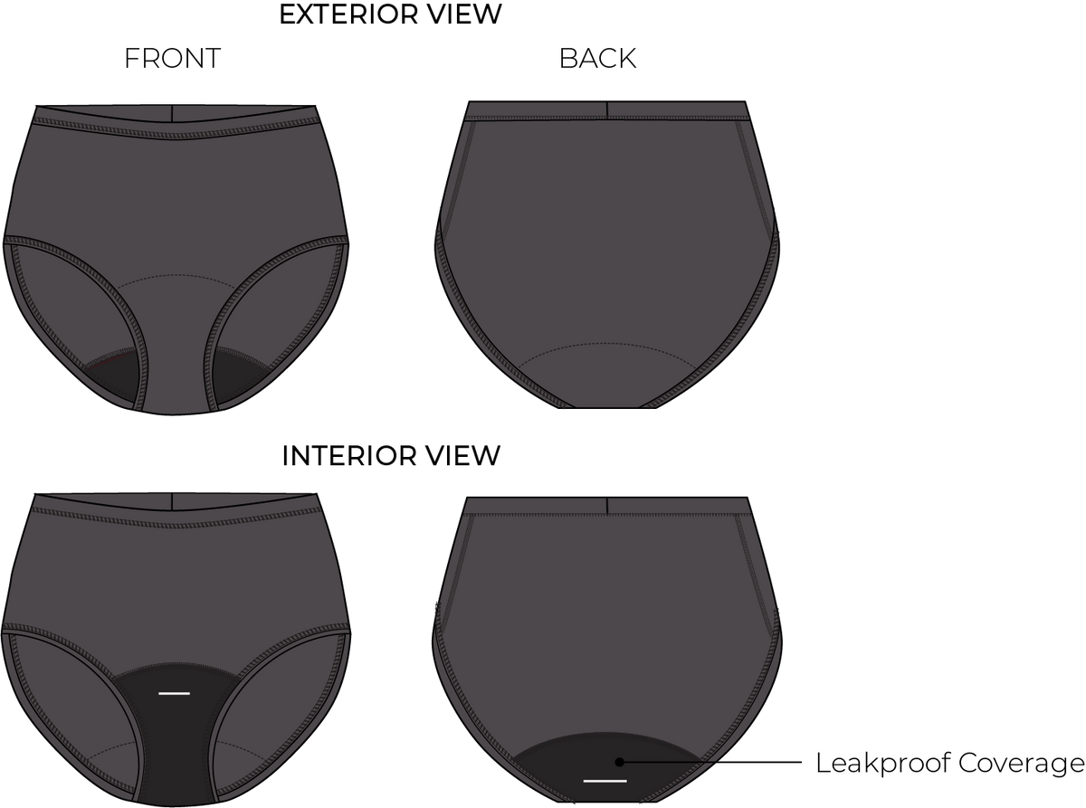 Front and back diagram