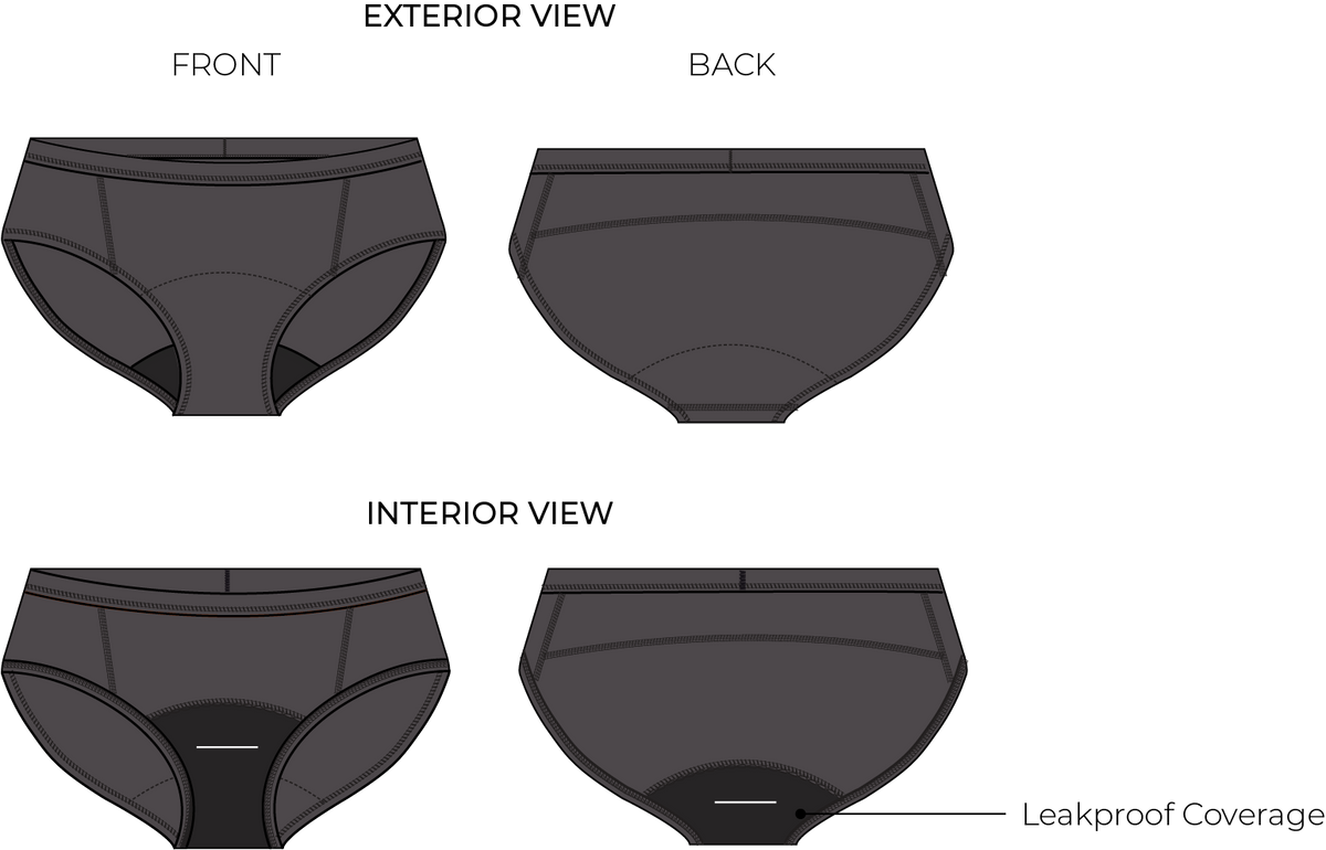 Front and back diagram