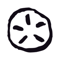 OEKO-TEX® certified, PFAS-free